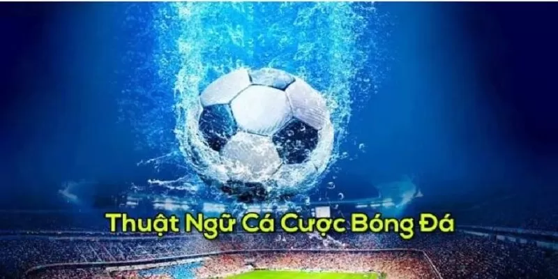 C&aacute;c thuật ngữ c&aacute; độ b&oacute;ng đ&aacute; trong k&egrave;o t&agrave;i xỉu